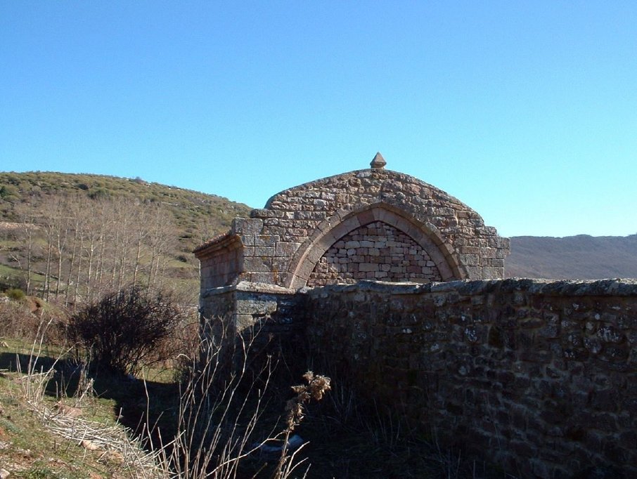 branosera004026.jpg