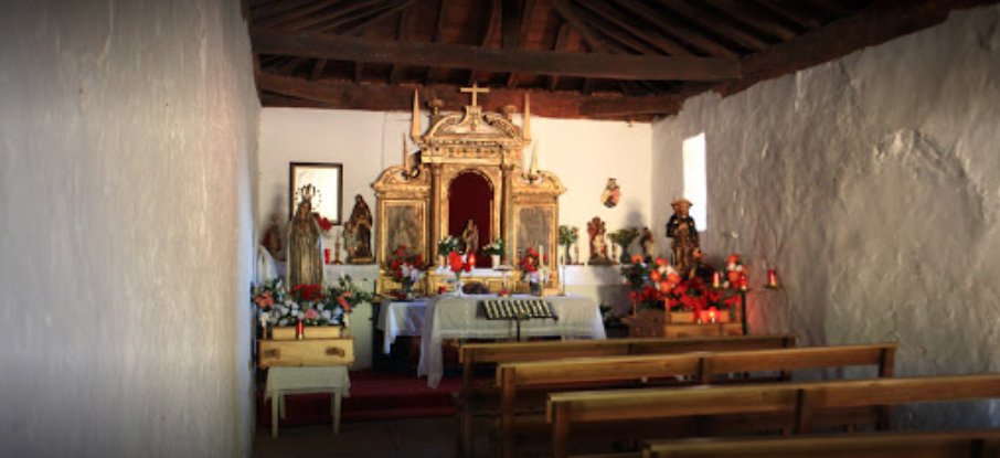 branosera005010.jpg