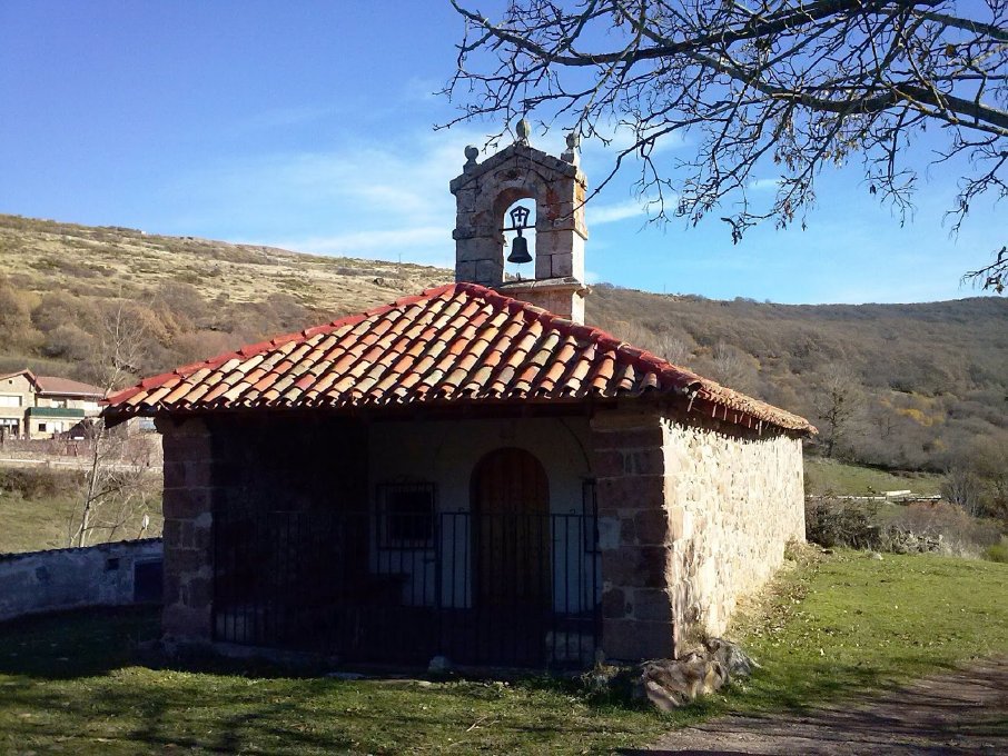 branosera005028.jpg