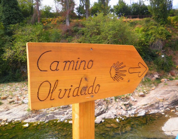 caminoolvidadoburgos002005.jpg