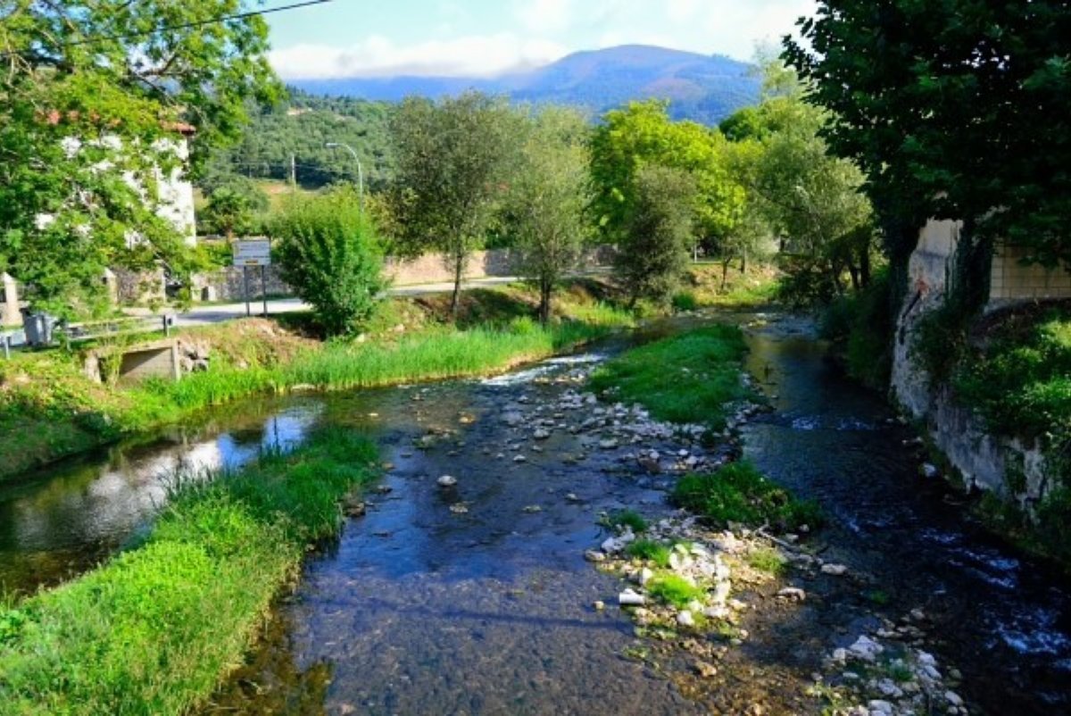 caminoolvidadoburgos003019.jpg