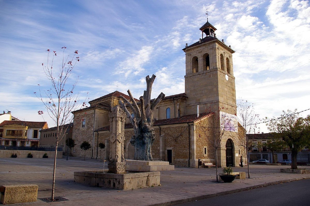 caminoolvidadoburgos013011.jpg