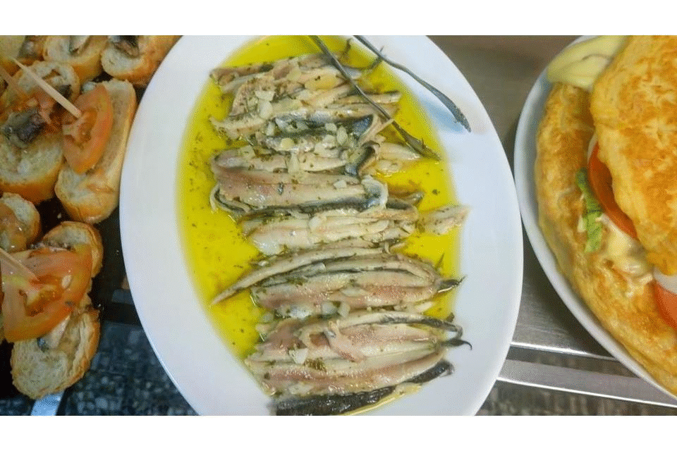 tertulia.gif