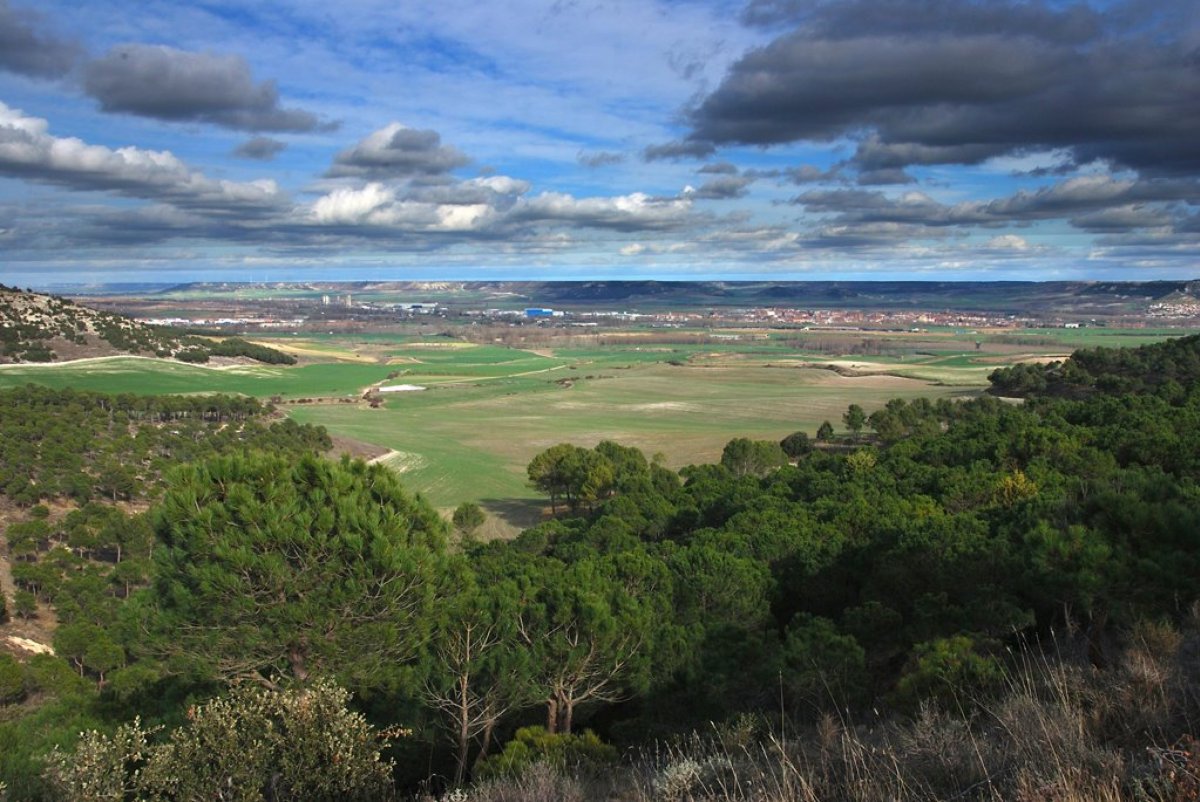 lugaresdeinterespalencia015004.jpg