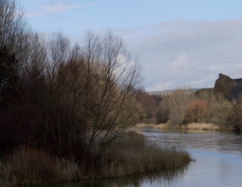 monzon_de_campos012011.jpg