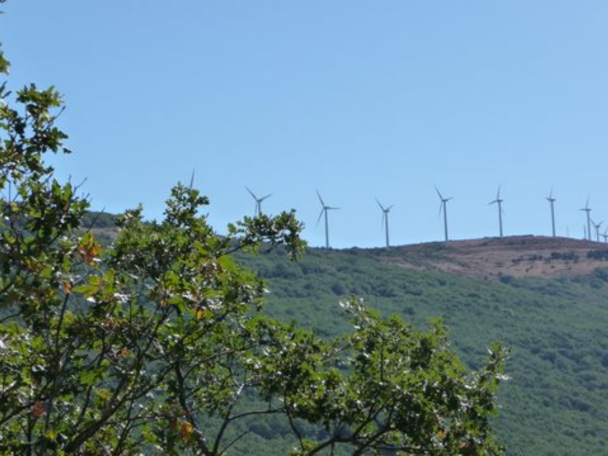orbo003005.jpg